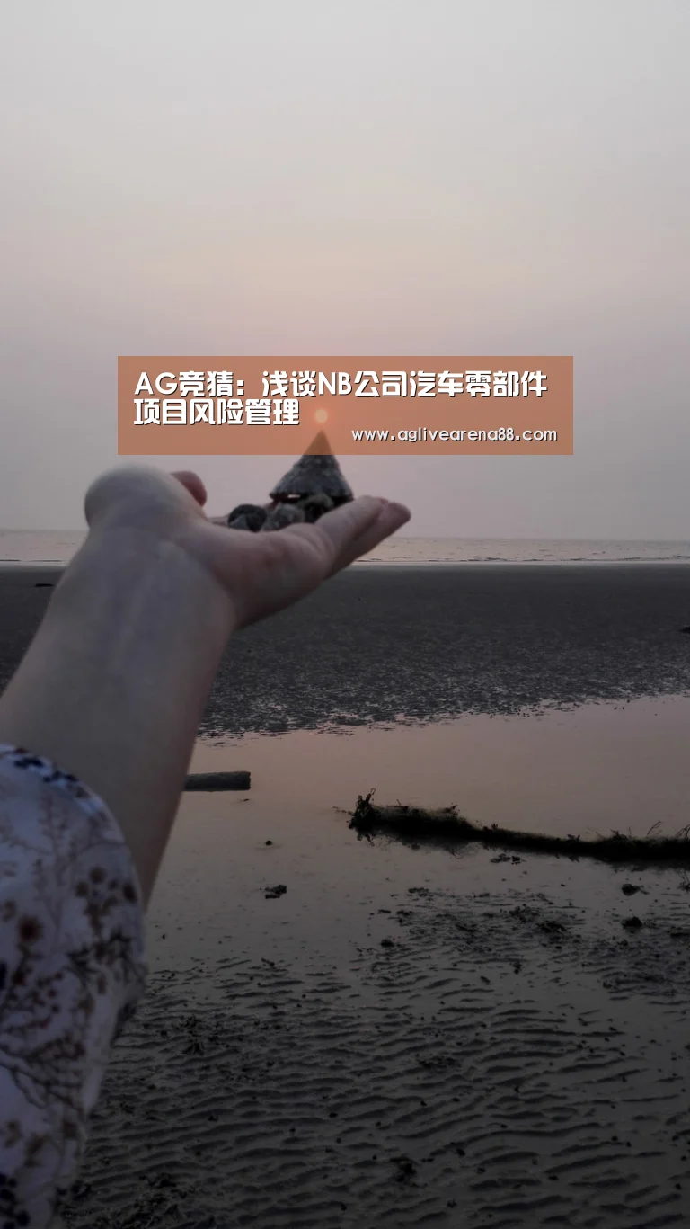 AG竞猜:浅谈NB公司汽车零部件项目风险管理(图2) AG滚球